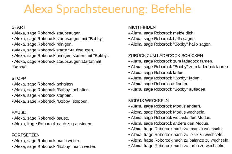 Der Umfang der Alexa Sprachbefehle für den Roborock S8 Pro werden übersichtlich dargestellt.
